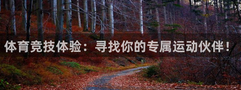 征途国际科技:体育竞技体验:寻找你的专属运动伙伴!