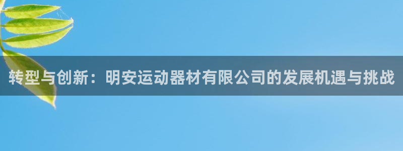 征途国际平台注册要钱吗是真的吗:转型与创新:明安运动器材有限