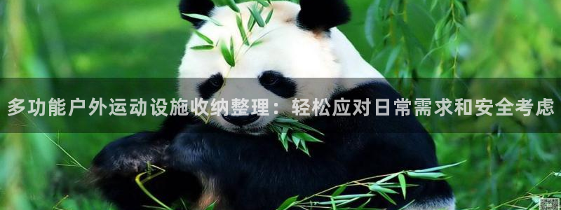 征途国际娱乐平台:多功能户外运动设施收纳整理:轻松应对日常需